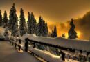 La Magia della Neve: Un Viaggio nel Cuore dell’Inverno.